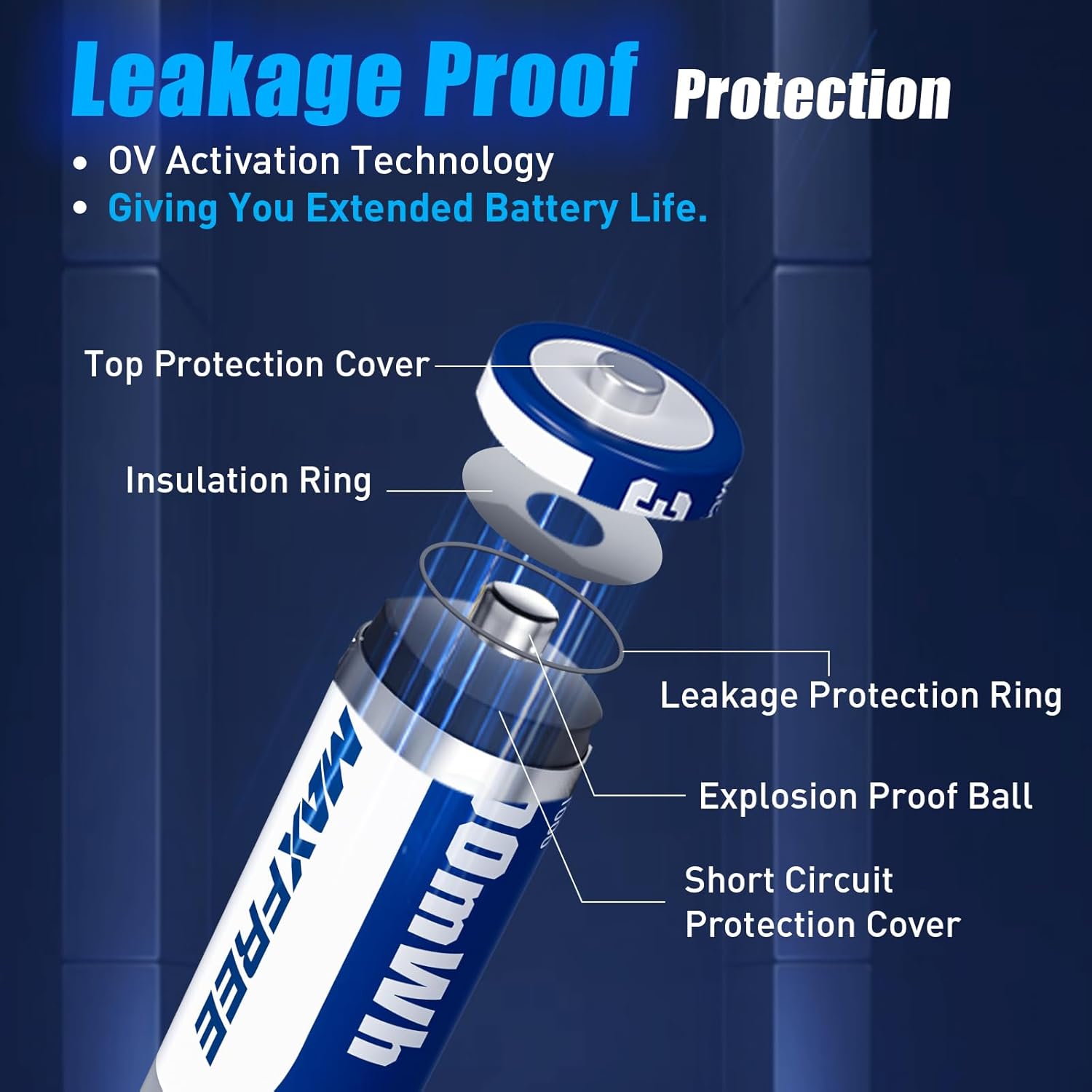 Maxfree Rechargeable AA Batteries